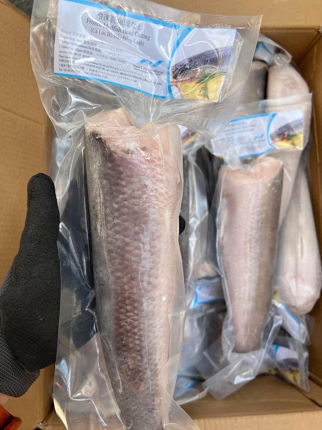 冷凍ライギョ・CÁ LÓC・黑鱼