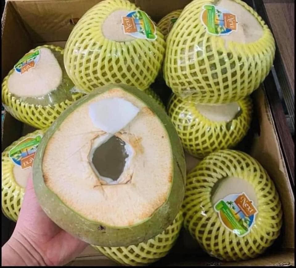 グリーンココナッツ・DỪA XANH・绿椰