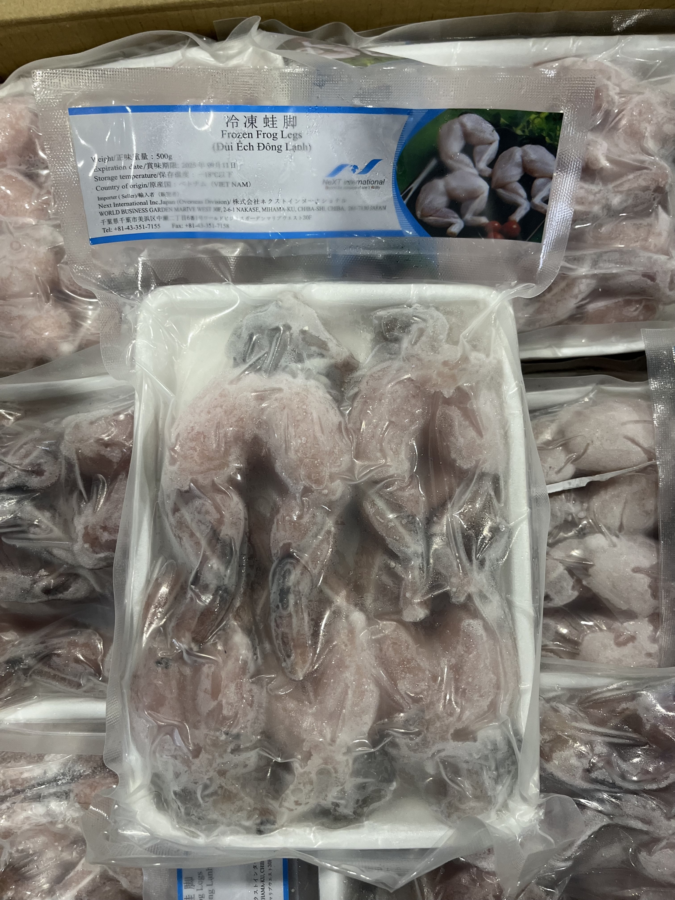 冷凍カエルもも・ ĐÙI ẾCH ĐÔNG LẠNH