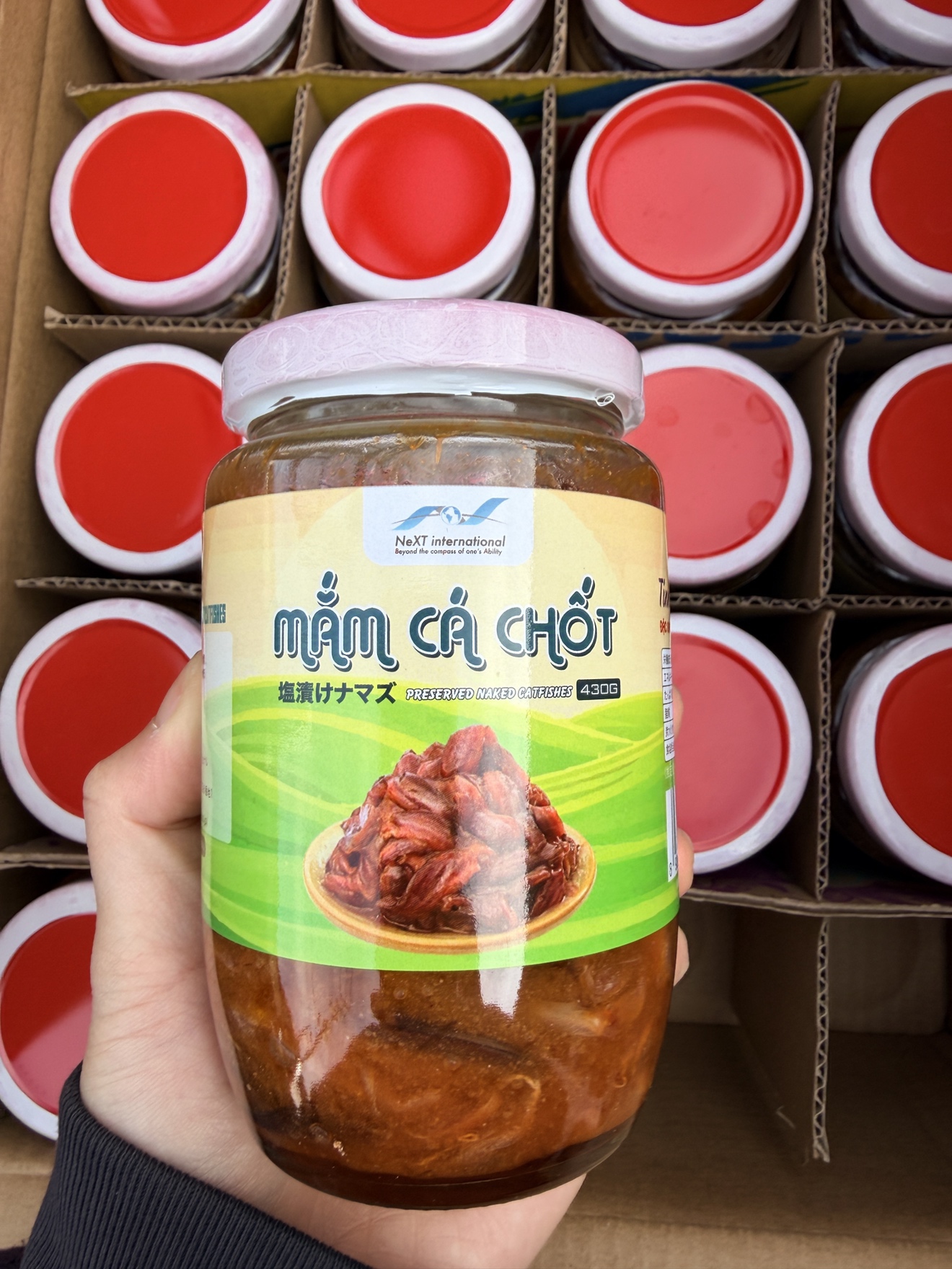 塩漬けナマズ・MẮM CÁ CHỐT