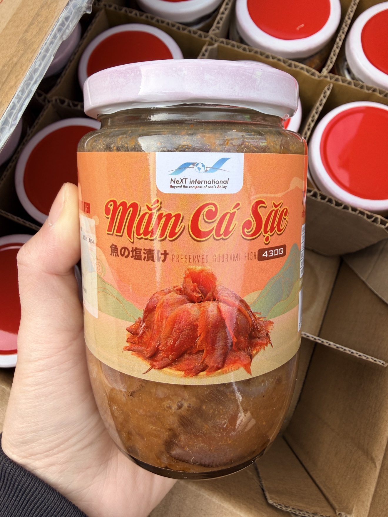 魚の塩漬け・MẮM CÁ SẶC