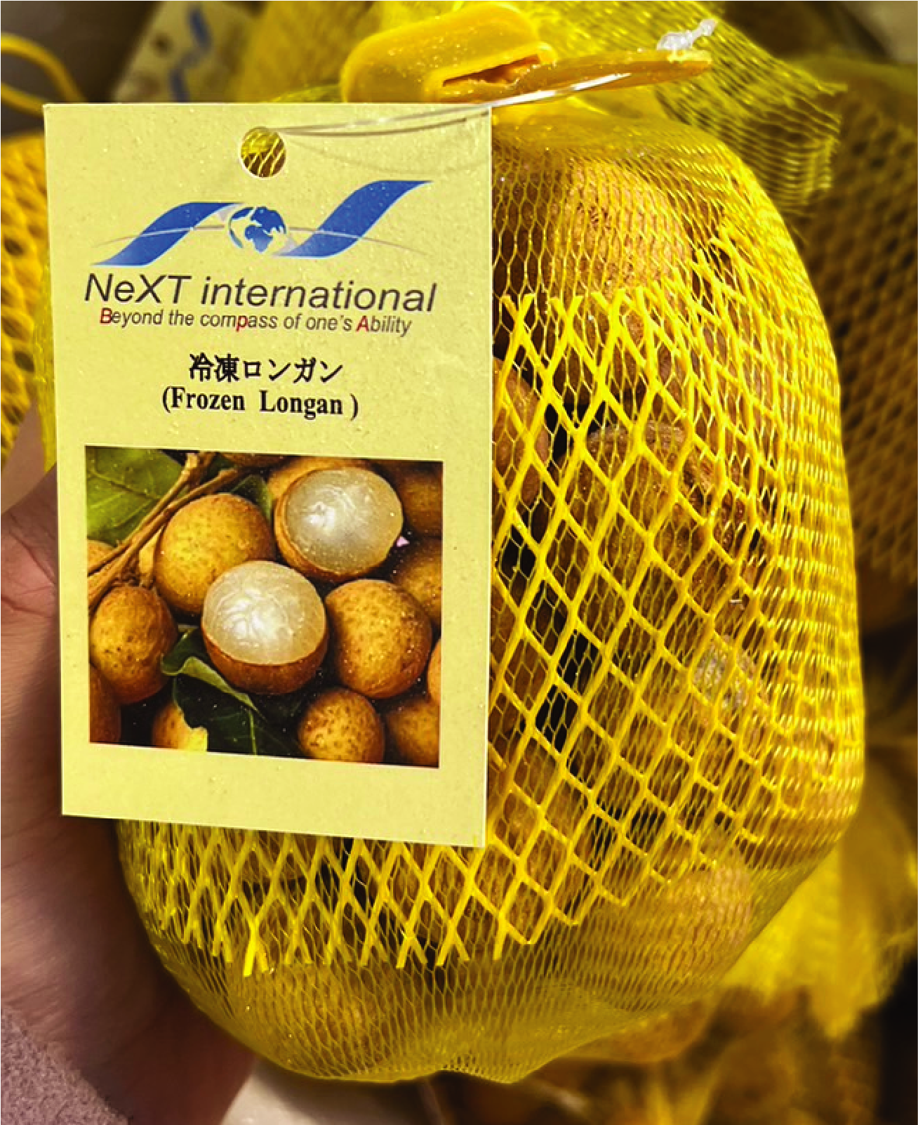 冷凍ロンガン・NHAN・冷冻龙眼