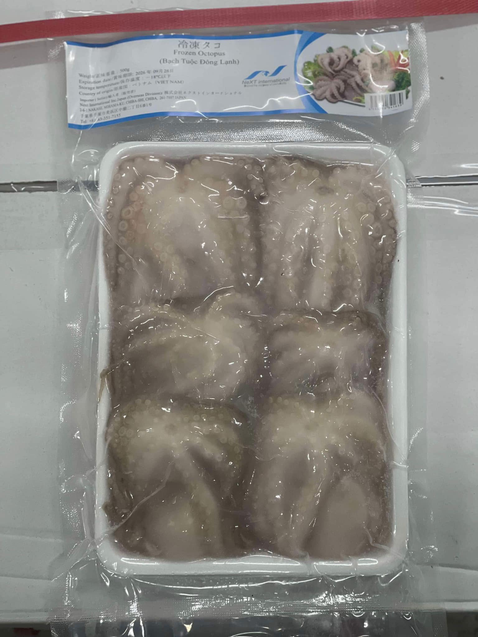 タコ・ bạch tuộc・章鱼