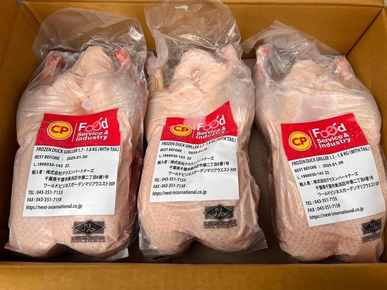 冷凍アヒル CP（1,6kg）・VỊT KHÔNG ĐẦU 1.6kg CP・去头鸭